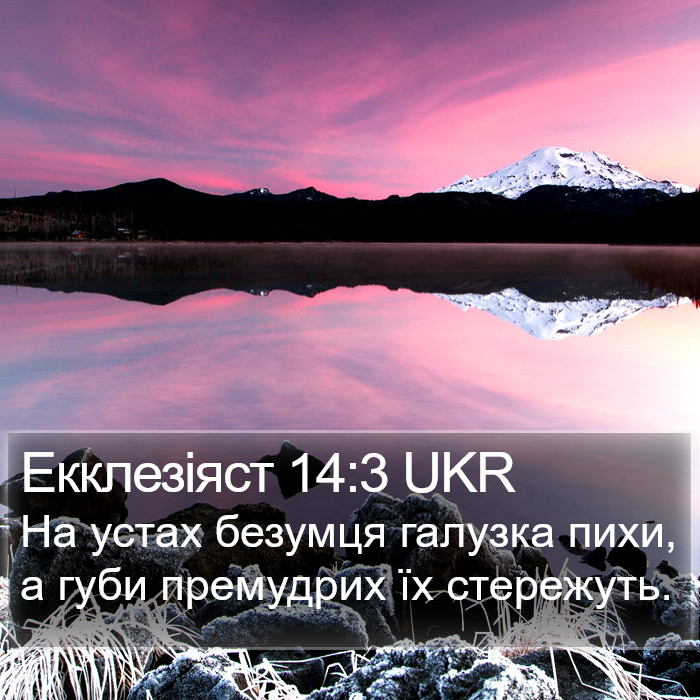 Екклезіяст 14:3 UKR Bible Study