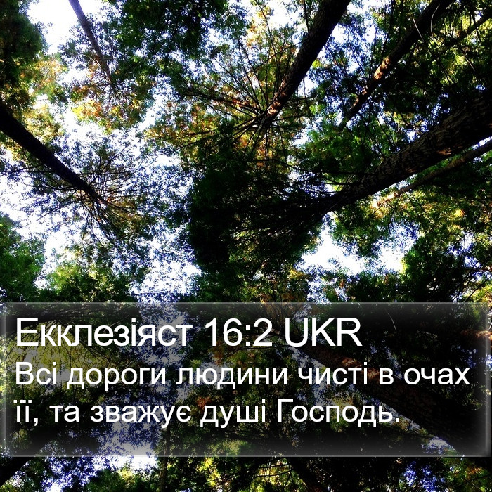 Екклезіяст 16:2 UKR Bible Study