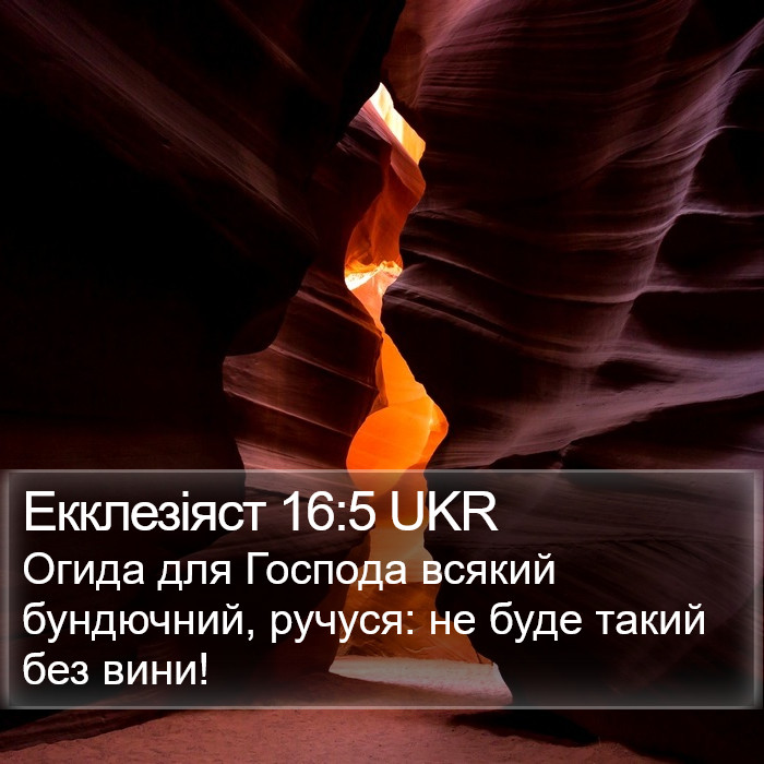 Екклезіяст 16:5 UKR Bible Study