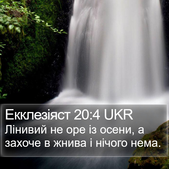 Екклезіяст 20:4 UKR Bible Study