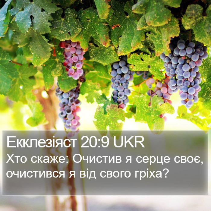 Екклезіяст 20:9 UKR Bible Study