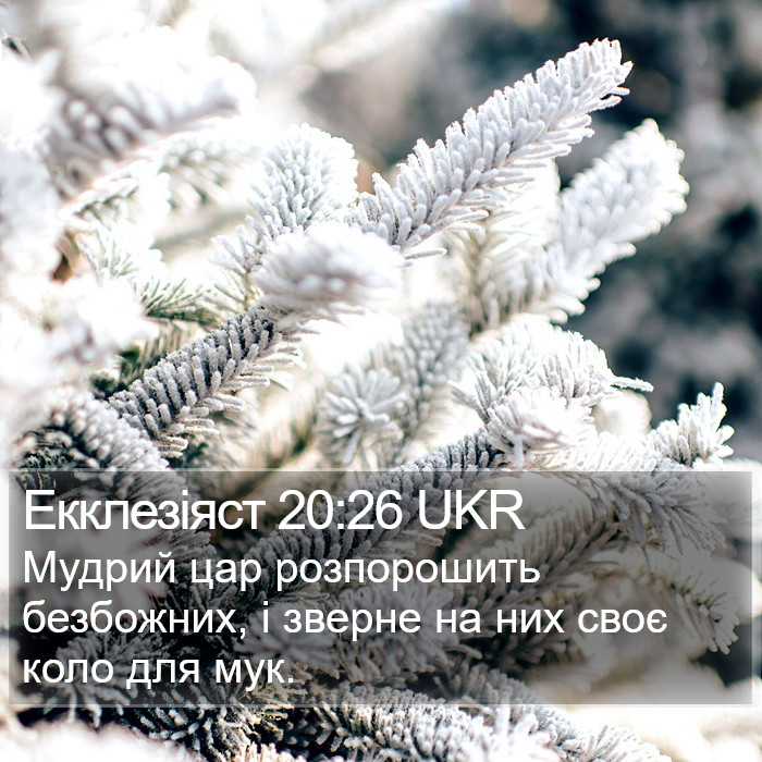 Екклезіяст 20:26 UKR Bible Study
