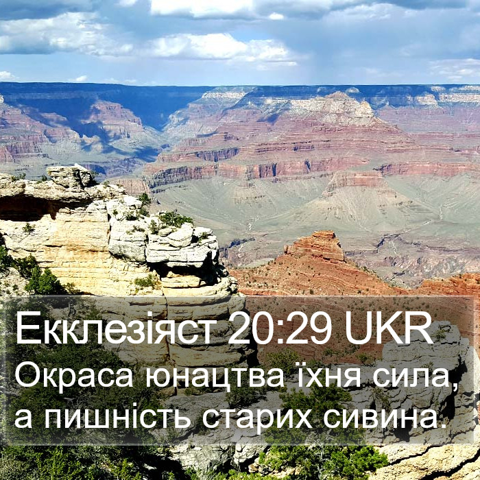 Екклезіяст 20:29 UKR Bible Study