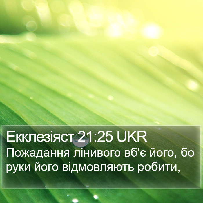 Екклезіяст 21:25 UKR Bible Study