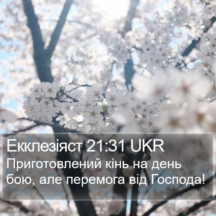 Екклезіяст 21:31 UKR Bible Study