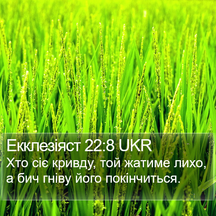 Екклезіяст 22:8 UKR Bible Study