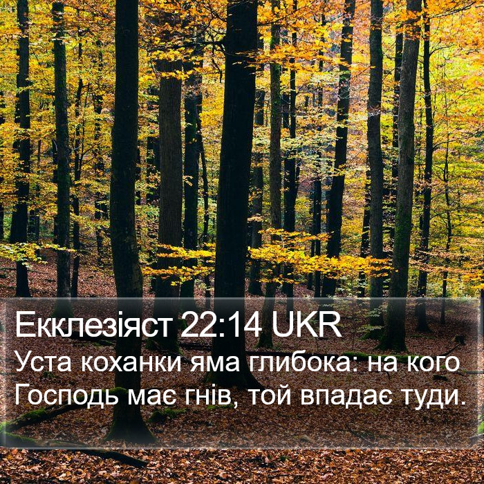 Екклезіяст 22:14 UKR Bible Study