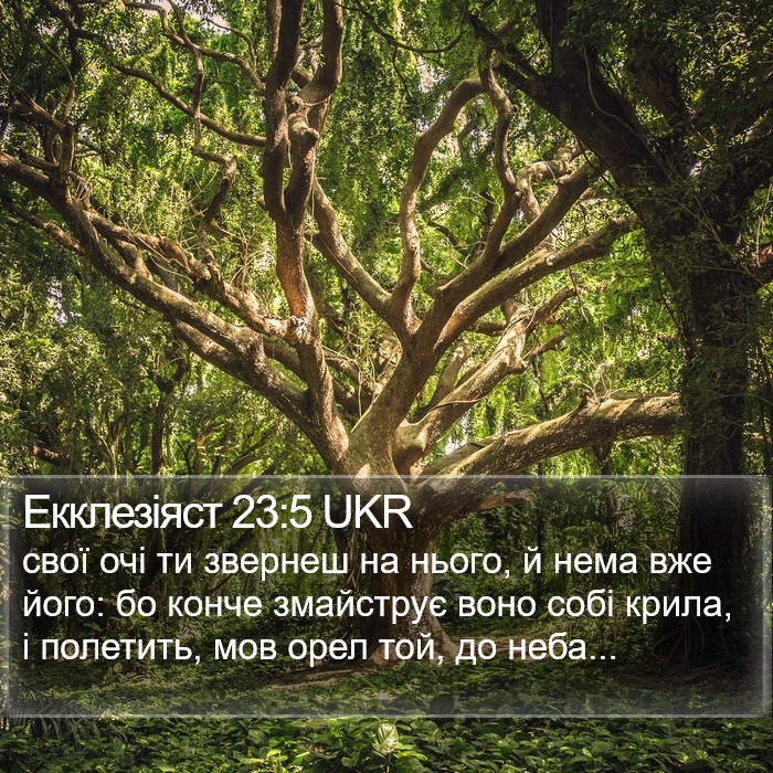 Екклезіяст 23:5 UKR Bible Study