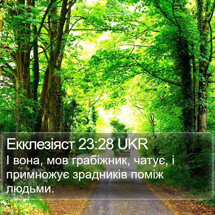 Екклезіяст 23:28 UKR Bible Study