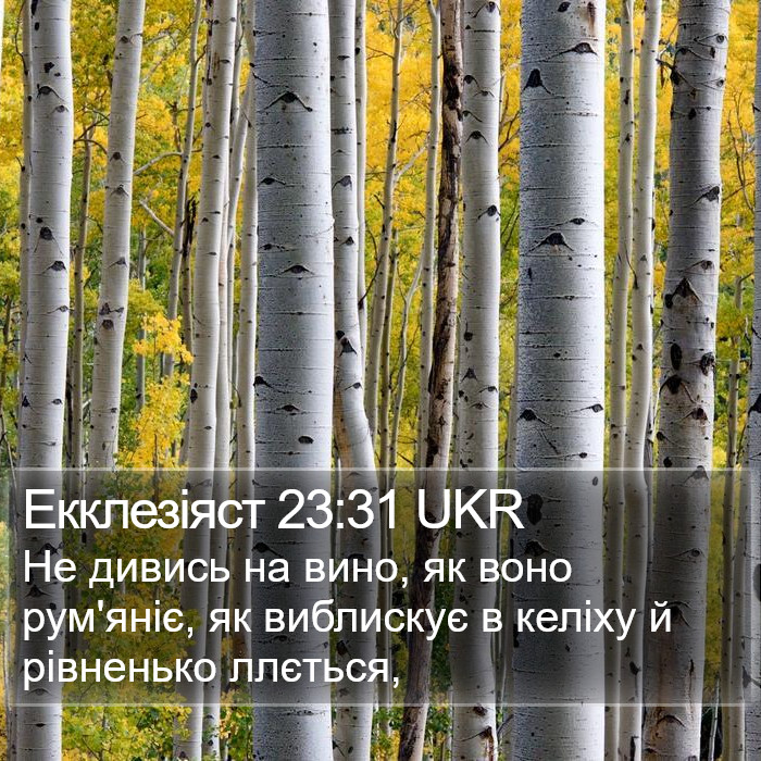 Екклезіяст 23:31 UKR Bible Study