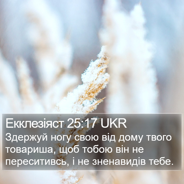 Екклезіяст 25:17 UKR Bible Study