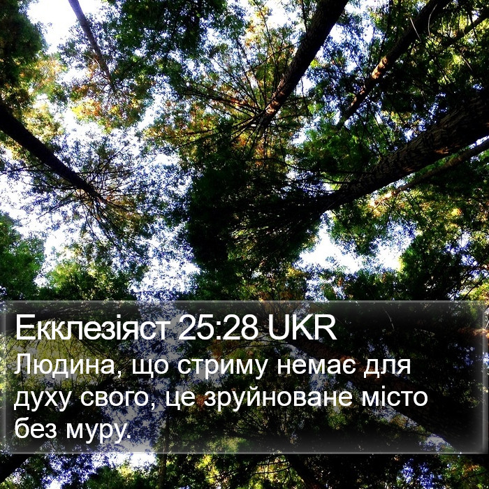 Екклезіяст 25:28 UKR Bible Study
