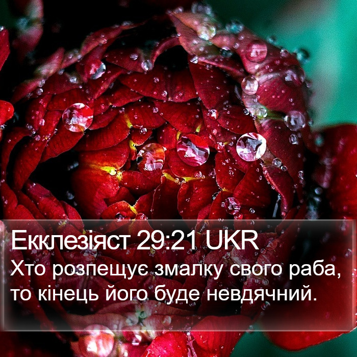 Екклезіяст 29:21 UKR Bible Study