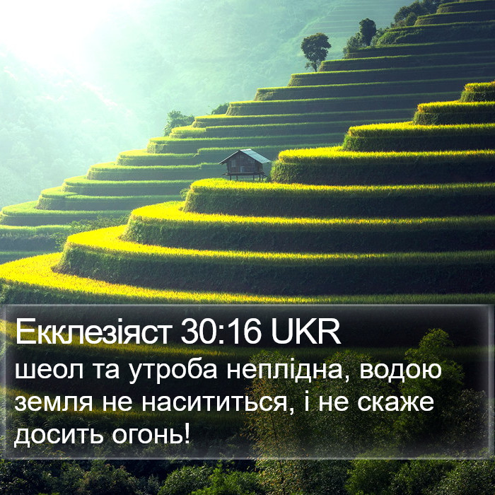 Екклезіяст 30:16 UKR Bible Study