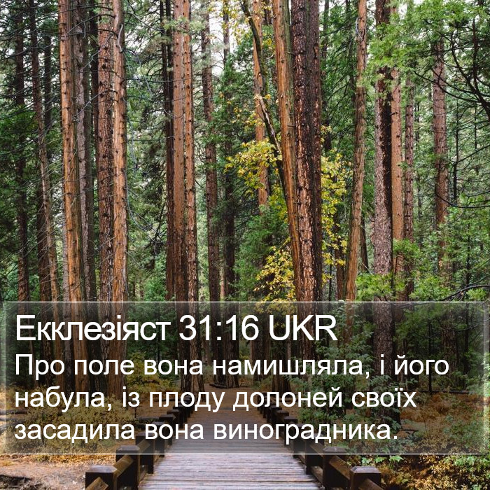 Екклезіяст 31:16 UKR Bible Study