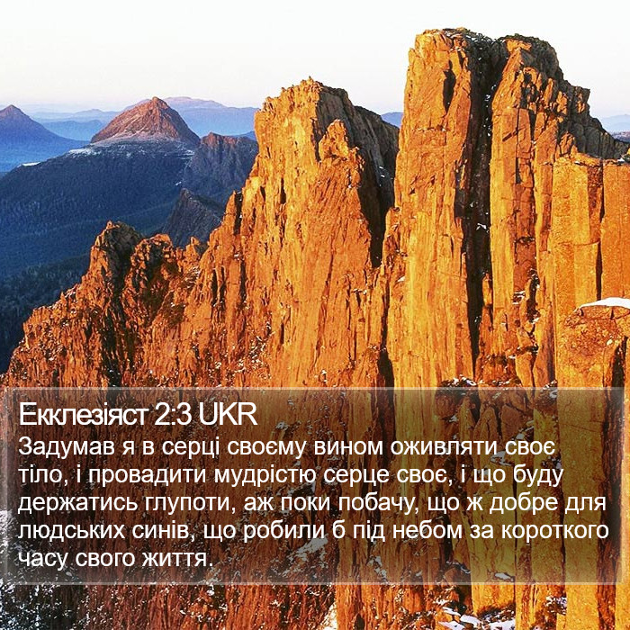 Екклезіяст 2:3 UKR Bible Study