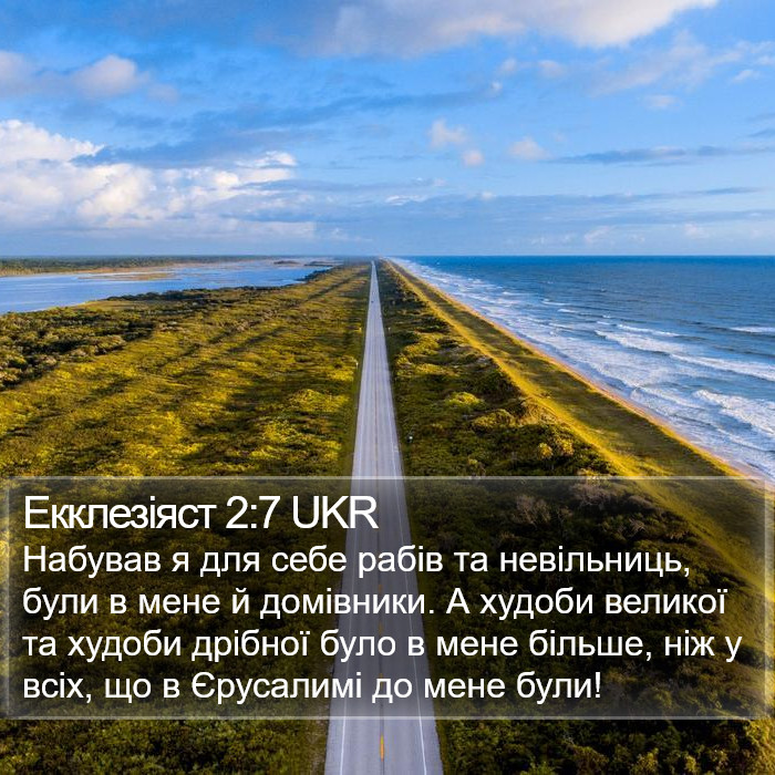 Екклезіяст 2:7 UKR Bible Study