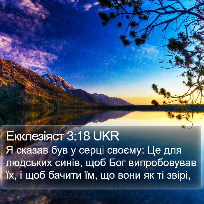 Екклезіяст 3:18 UKR Bible Study