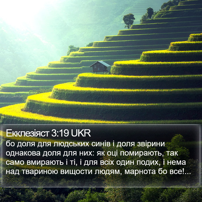 Екклезіяст 3:19 UKR Bible Study