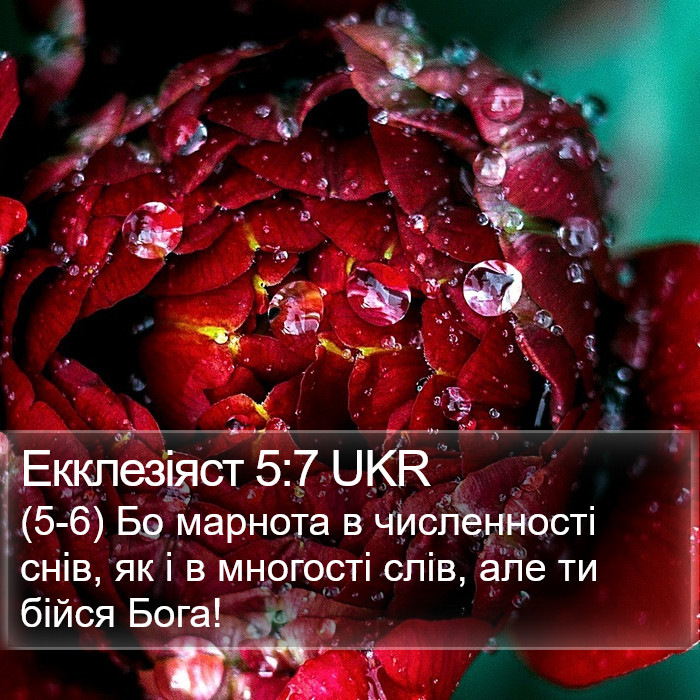 Екклезіяст 5:7 UKR Bible Study