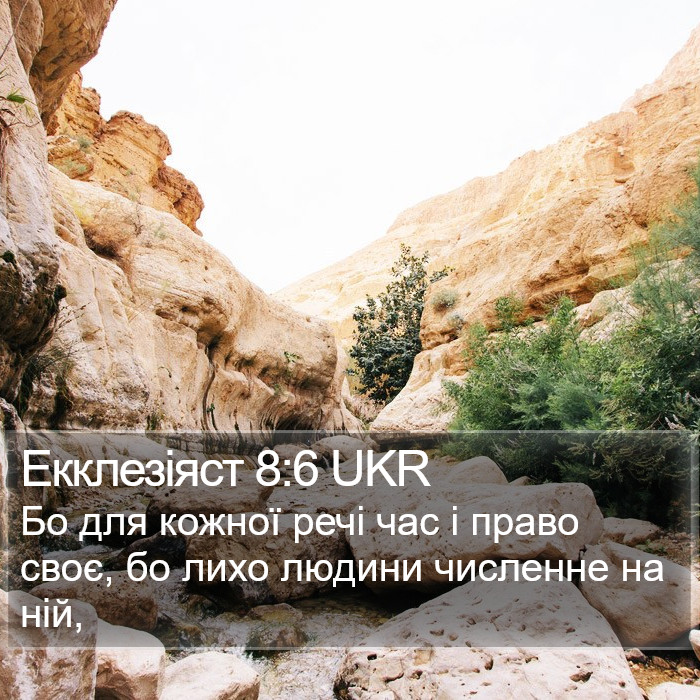 Екклезіяст 8:6 UKR Bible Study