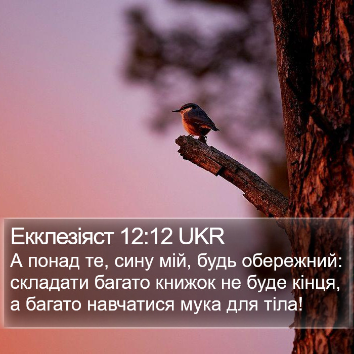 Екклезіяст 12:12 UKR Bible Study