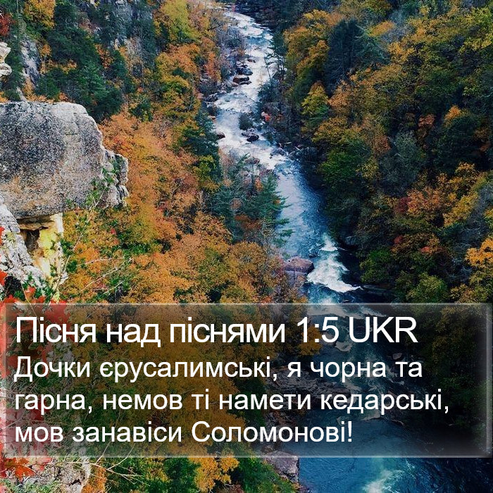 Пісня над піснями 1:5 UKR Bible Study