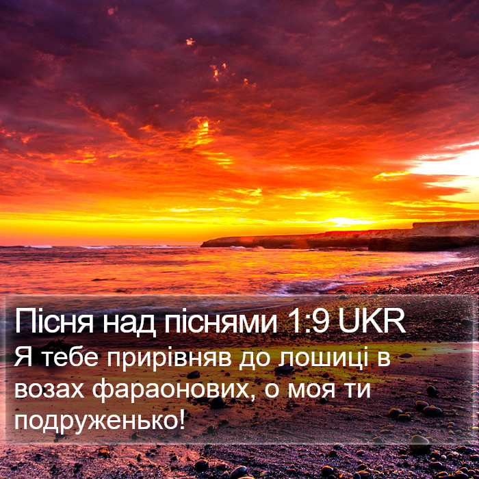 Пісня над піснями 1:9 UKR Bible Study