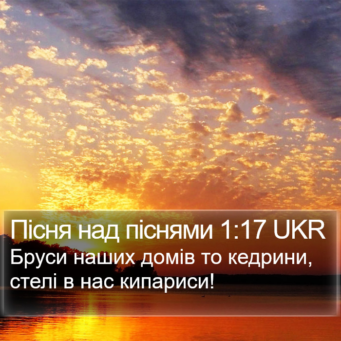 Пісня над піснями 1:17 UKR Bible Study