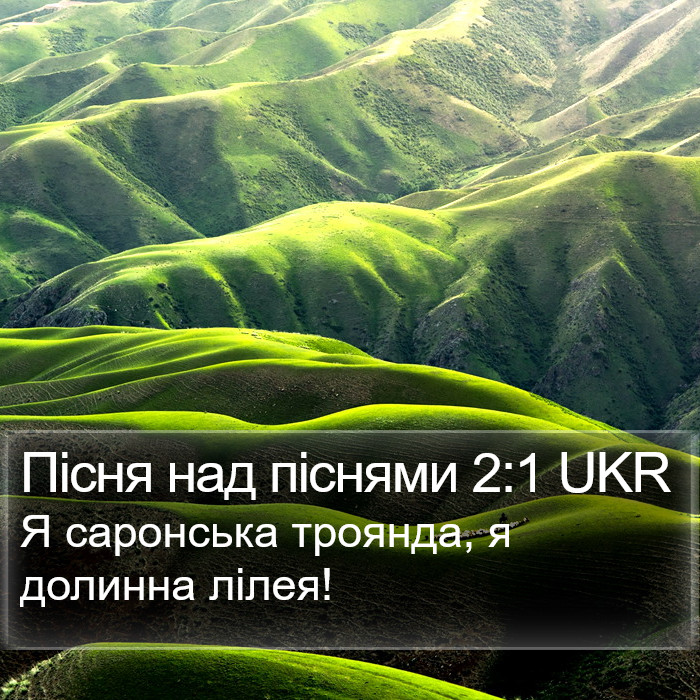 Пісня над піснями 2:1 UKR Bible Study