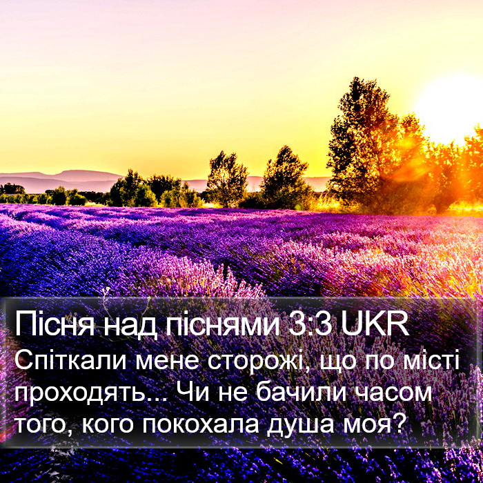 Пісня над піснями 3:3 UKR Bible Study