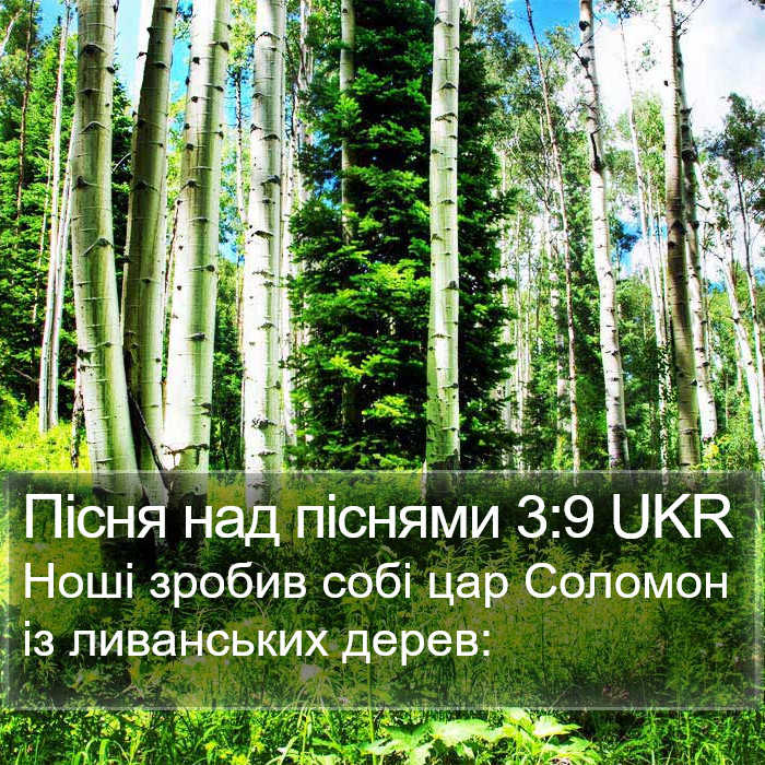 Пісня над піснями 3:9 UKR Bible Study