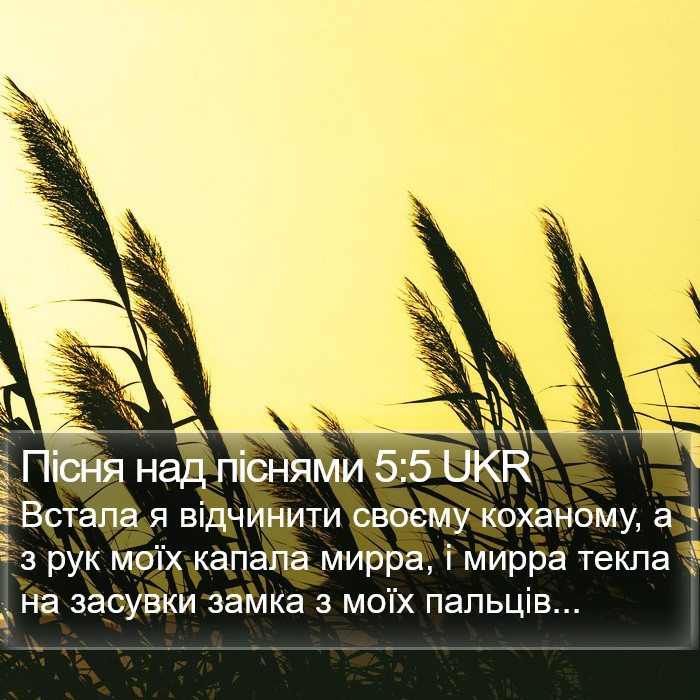 Пісня над піснями 5:5 UKR Bible Study