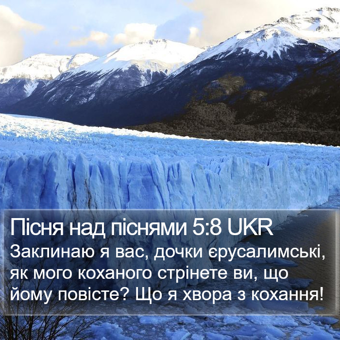 Пісня над піснями 5:8 UKR Bible Study