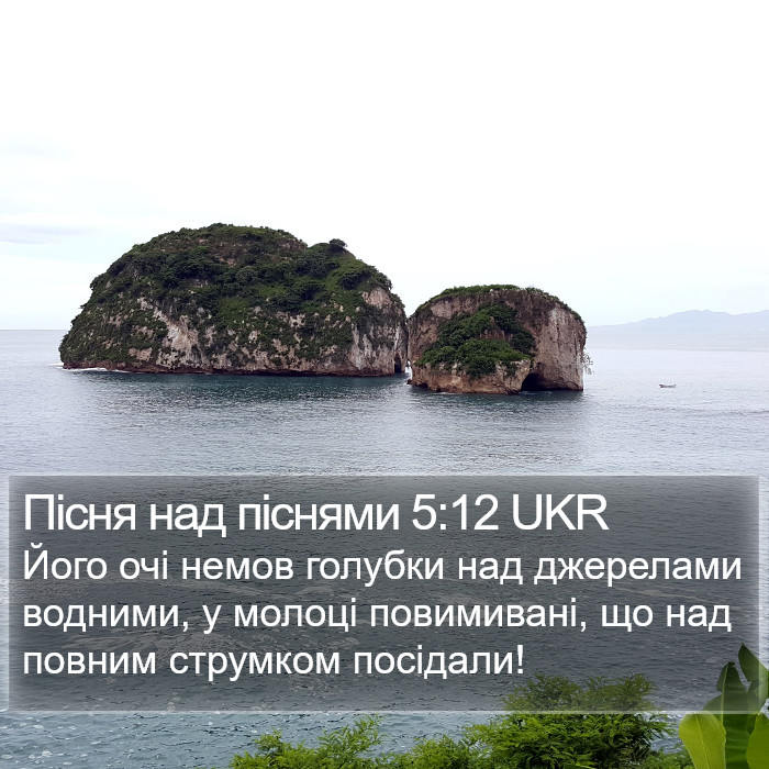 Пісня над піснями 5:12 UKR Bible Study