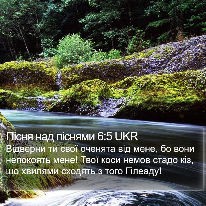 Пісня над піснями 6:5 UKR Bible Study