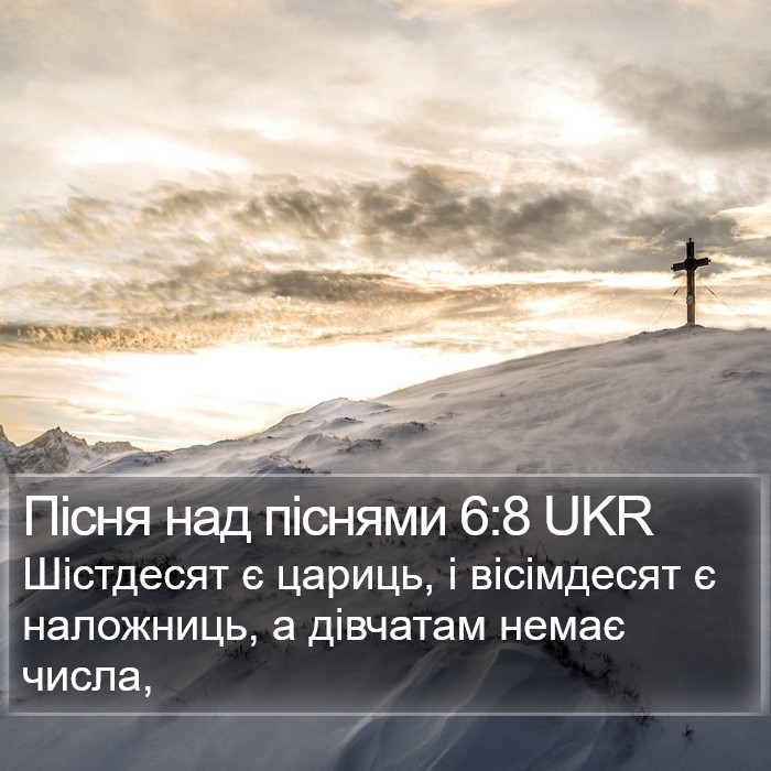 Пісня над піснями 6:8 UKR Bible Study
