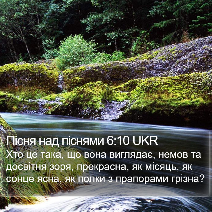 Пісня над піснями 6:10 UKR Bible Study