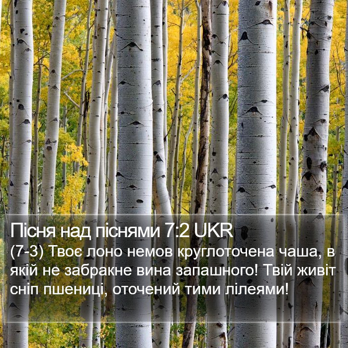 Пісня над піснями 7:2 UKR Bible Study