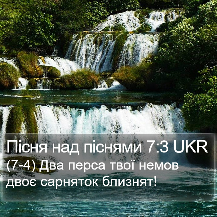 Пісня над піснями 7:3 UKR Bible Study