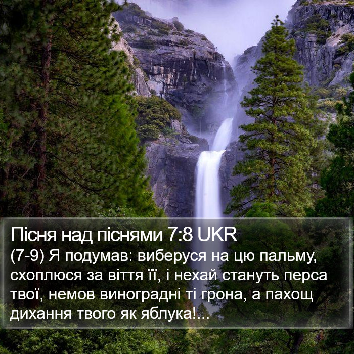 Пісня над піснями 7:8 UKR Bible Study