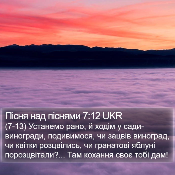 Пісня над піснями 7:12 UKR Bible Study