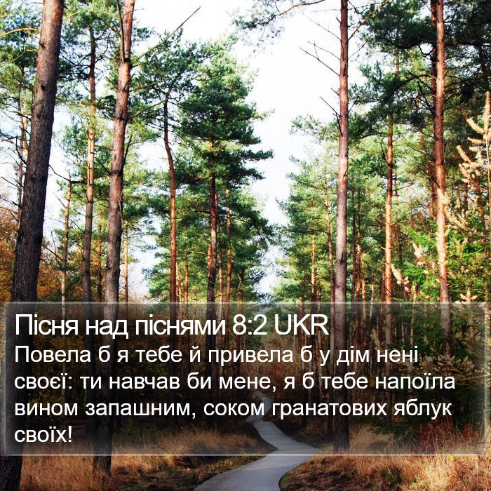 Пісня над піснями 8:2 UKR Bible Study