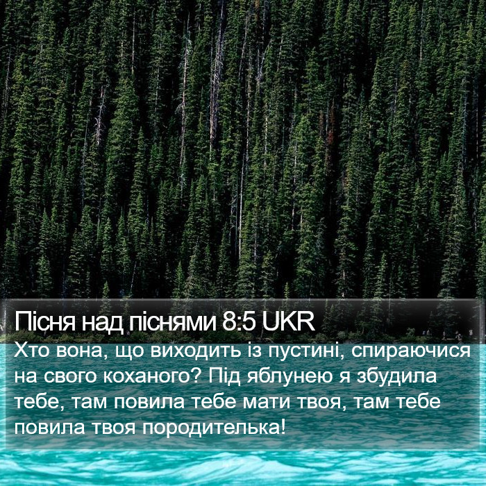 Пісня над піснями 8:5 UKR Bible Study