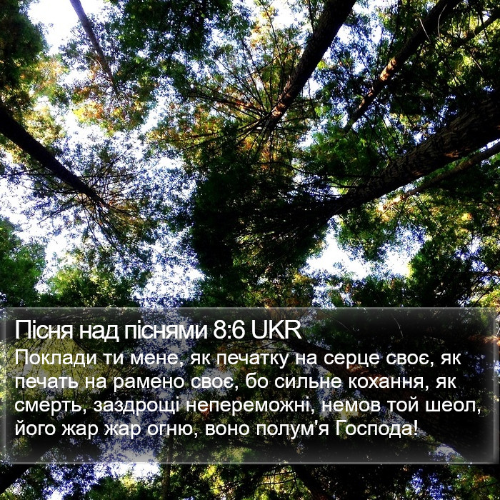 Пісня над піснями 8:6 UKR Bible Study