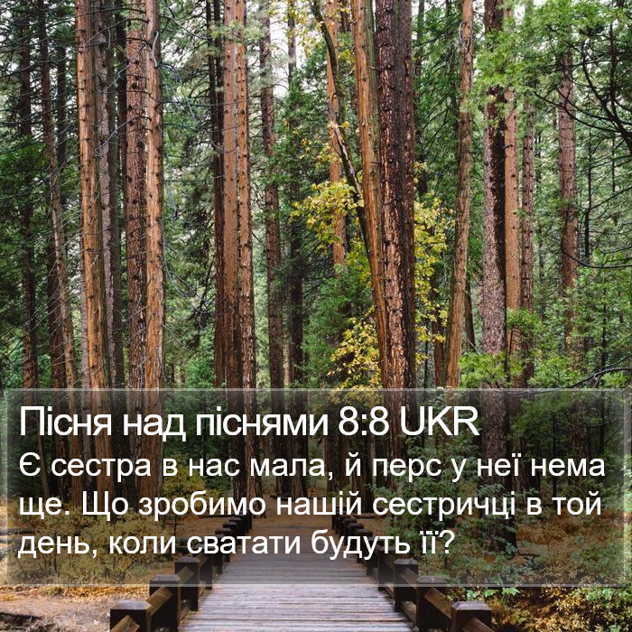 Пісня над піснями 8:8 UKR Bible Study