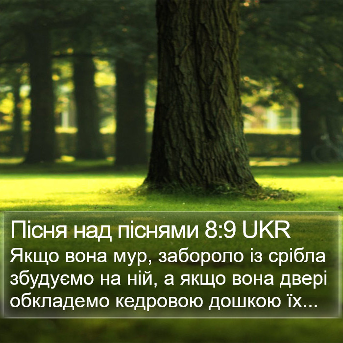 Пісня над піснями 8:9 UKR Bible Study