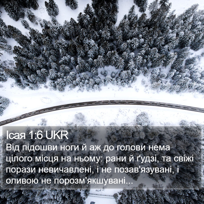 Ісая 1:6 UKR Bible Study