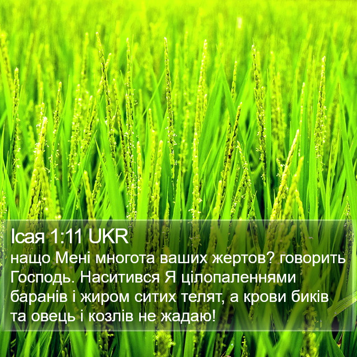 Ісая 1:11 UKR Bible Study