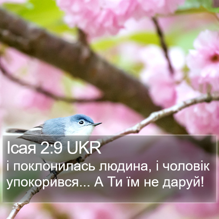 Ісая 2:9 UKR Bible Study